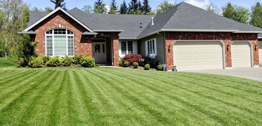 Lawn care by Baza Services.